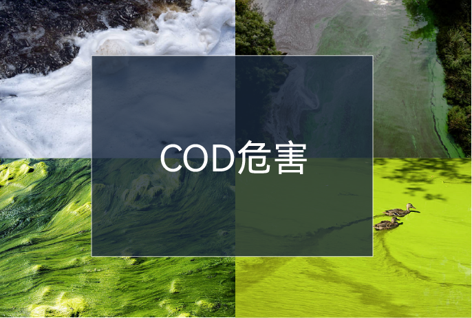 ��ҳ| ���������й��ٷ���վ