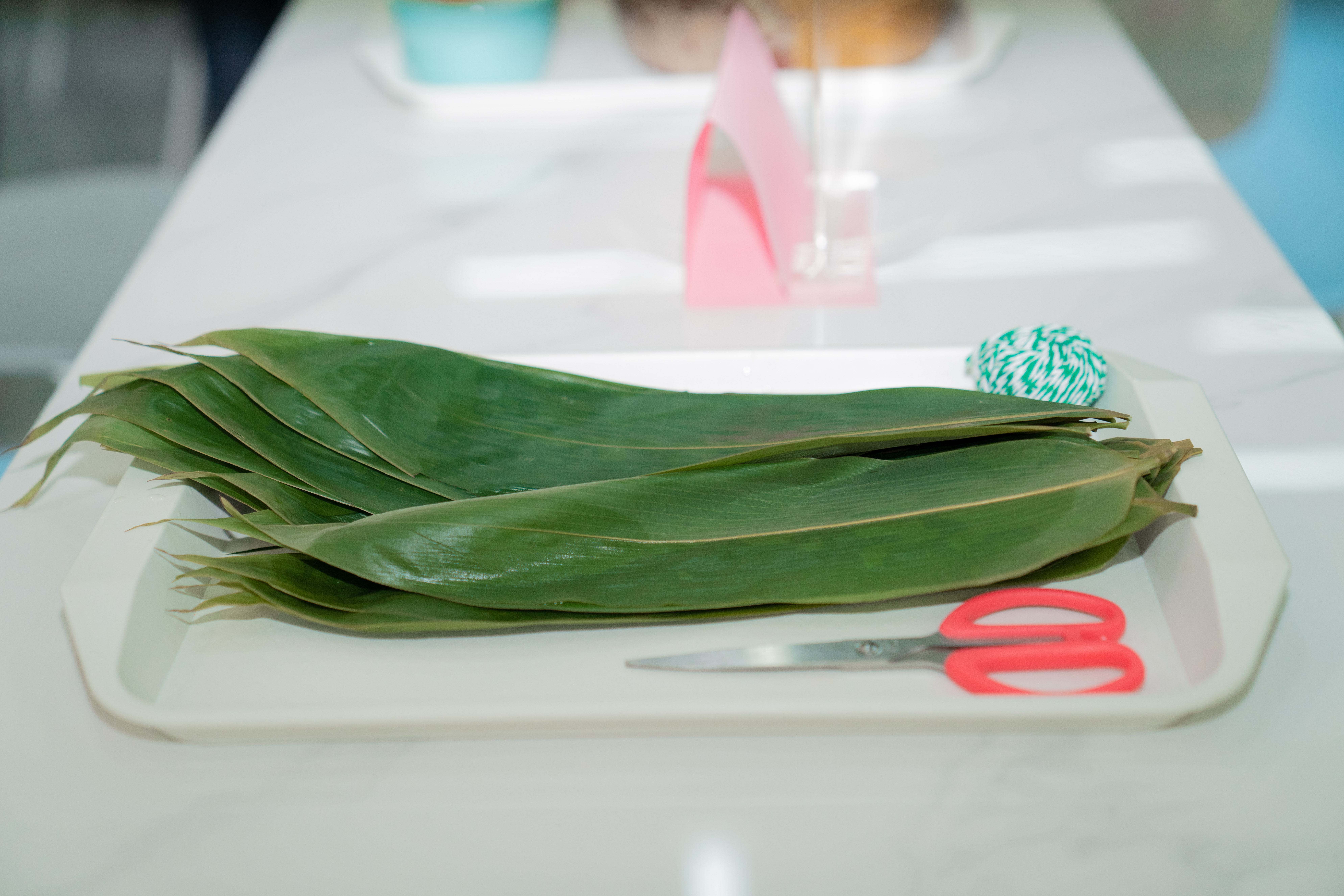 ��ҳ| ���������й��ٷ���վ